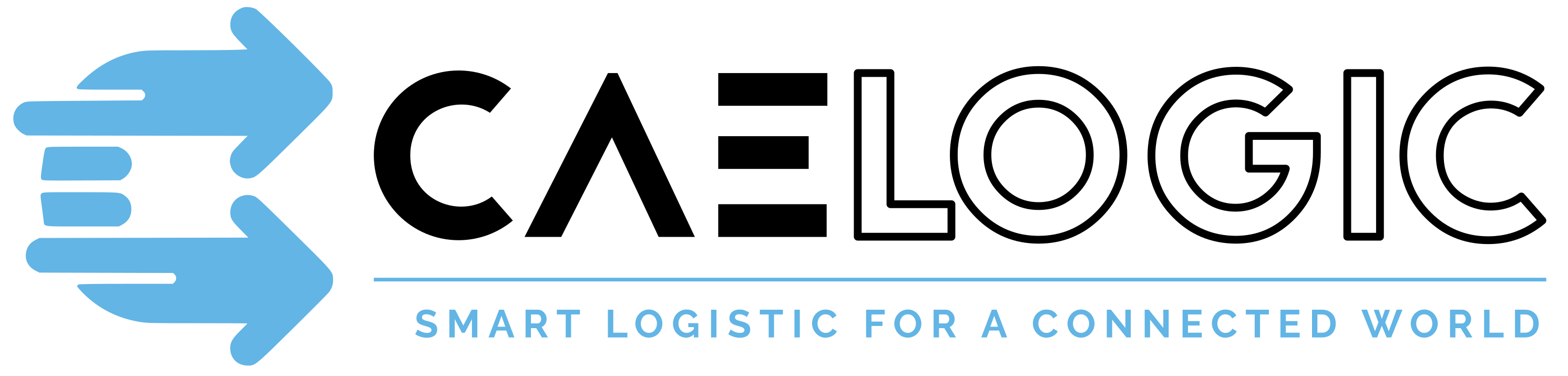Caelogic GmbH
